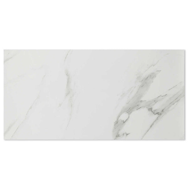 Alps Satuario Grey Polished