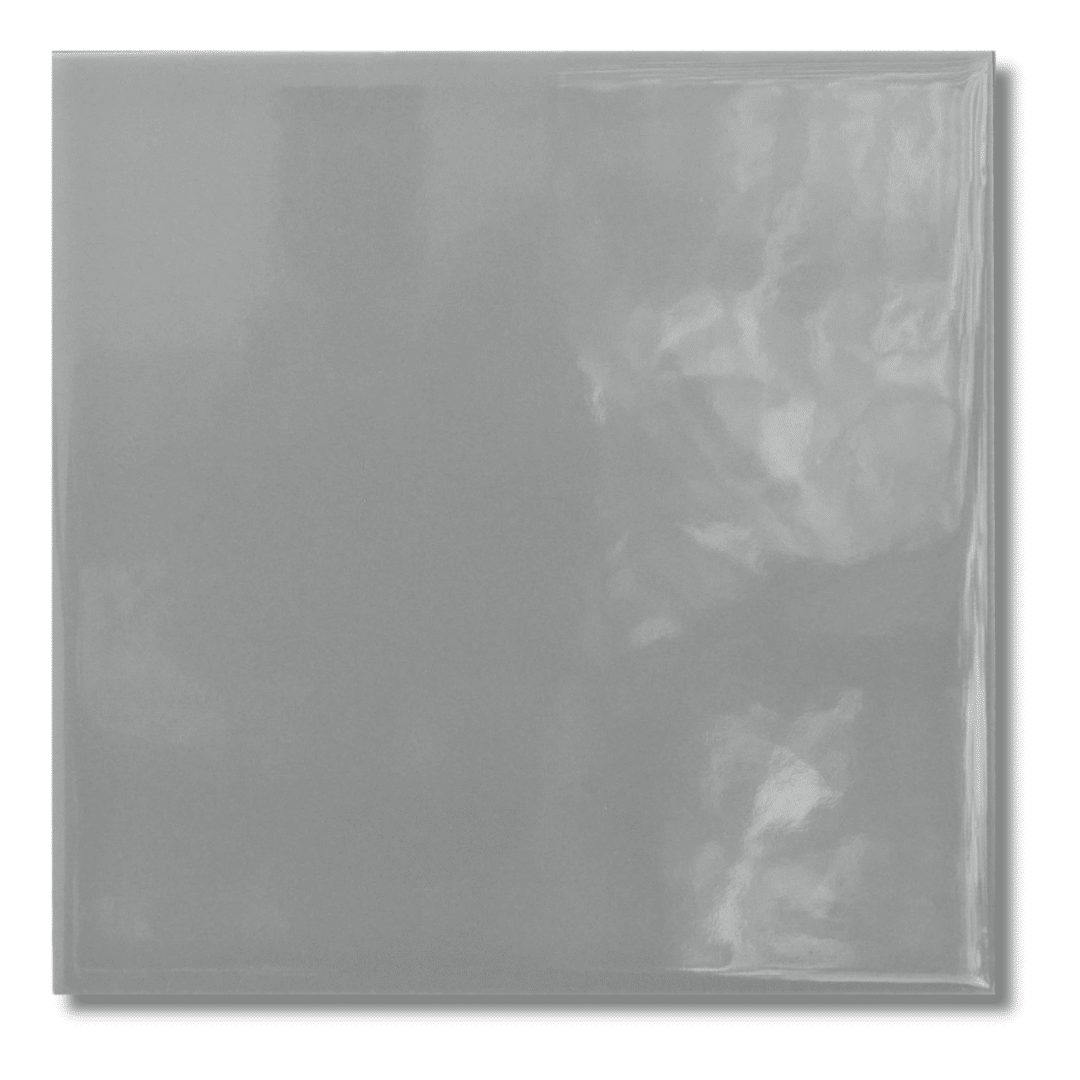 Monocolour Plata Grey Flat Gloss Square Tiles