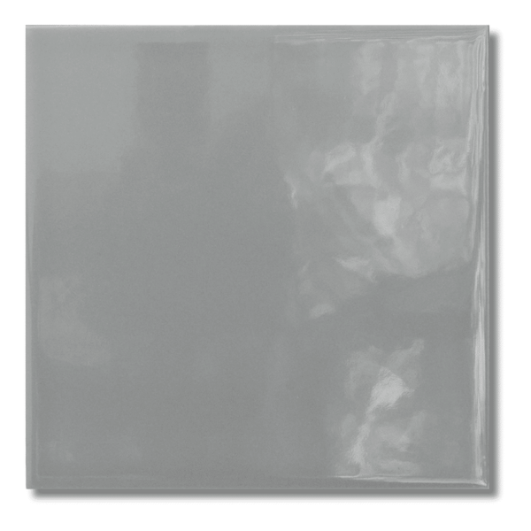 Monocolour Plata Grey Flat Gloss Square Tiles